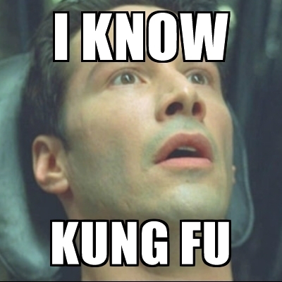 Neo from The Matrix: "I know kung fu"